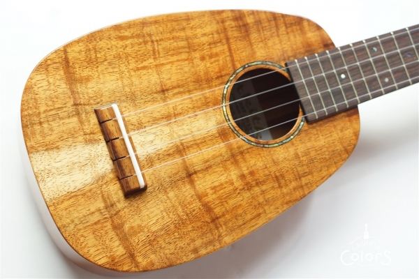 HK-PL 1st Anniversary